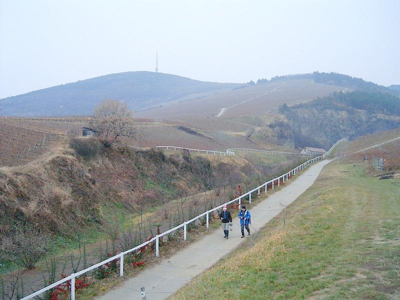 20111210 113.jpg